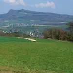 Apartman Hegauliebe