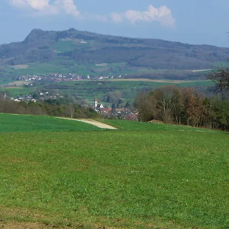 Апартаменты Hegauliebe